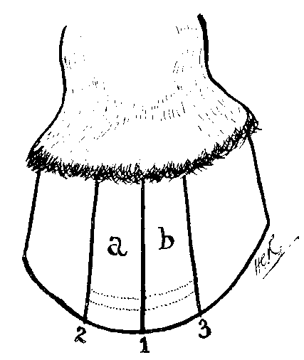 Fig. 120.   Diagram Of Hoof Showing The Position Of The Three Grooves Made In The Treatment Of Laminitis