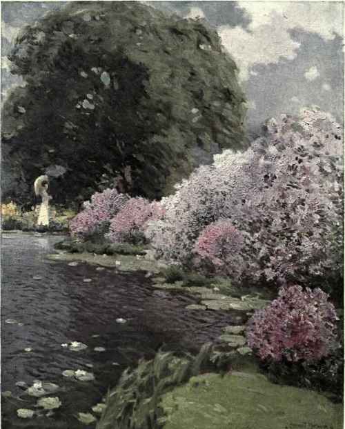 THE RHODODENDRONS