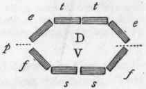 Fig. 135.   Theoretical figure illustrating the composition of the tegumentary skeleton of the Crustacea (after Milne Edwards). D, Dorsal are: t t Tergal pieces; e e Epimeral pieces. V, Ventral arc : s s Sternal pieces; f f Episternal pieces; p p Insertion of the extremities.