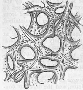 Fig. 26.   Fragment of the skeleton of a horny Sponge (after Bowerbank), greatly enlarged, showing interlacing horny fibres with spicula.