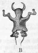 Fig. 3.   A, Young of one of the parasitic Crustaceans (Achtheres) with its swimming paddles and eye spots, magnified; B, Deformed and swollen parasitic adult of another member of the same group (Lernoea).