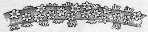 Fig. 72.   Part of the living stem of Antipathes anguina, of the natural size.