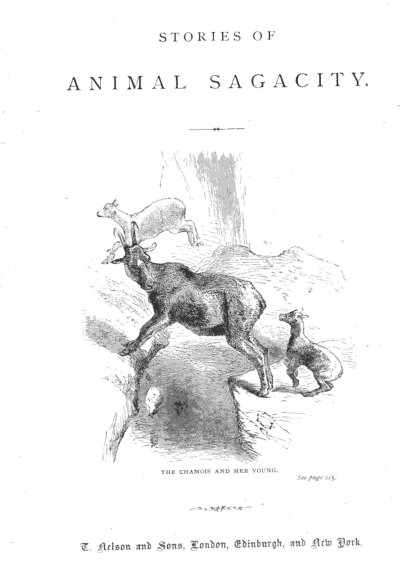 Stories
of Animal Sagacity book cover