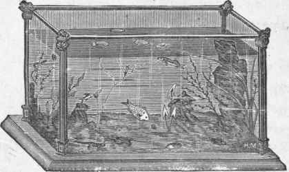 Aquarium.