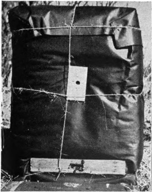 A hive packed with tar paper and straw. Note the reduced lower entrance and the auger hole top entrance.