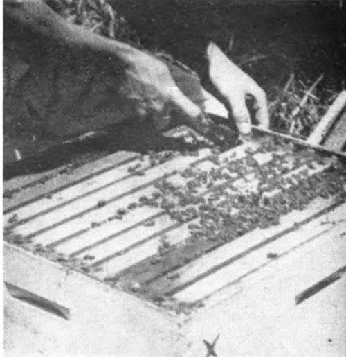 Removing the super