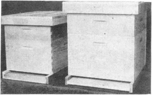 The evolution of the modern beehive. Top straw skep, log hive, wooden box hive. Left  Langstroth hive and Modified Dadant hive. Notice the difference in size between the Langstroth and the Modified Dadant.