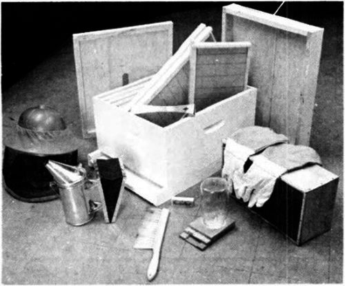 Equipment used in beekeeping.
