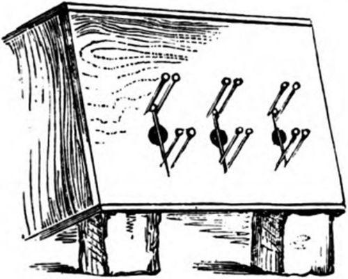 Cheshire's pin trap permitted the bees to escape but prevented their return.