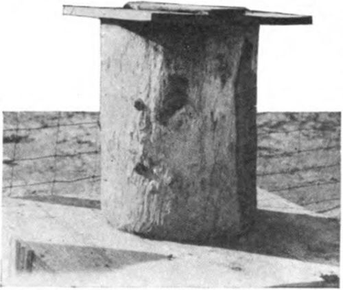 In some neighborhoods bees are still kept in sections of hollow logs, called bee gums.