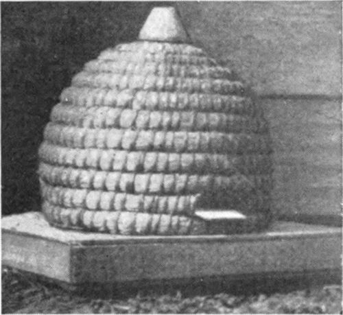 In the Old World skeps were made of straw.
