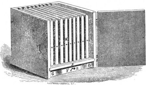 Interior of Harbison's hive with standing frames.