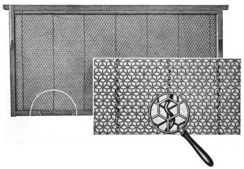 Vertical wired foundation with corrugated wire was perfected by Henry Dadant.