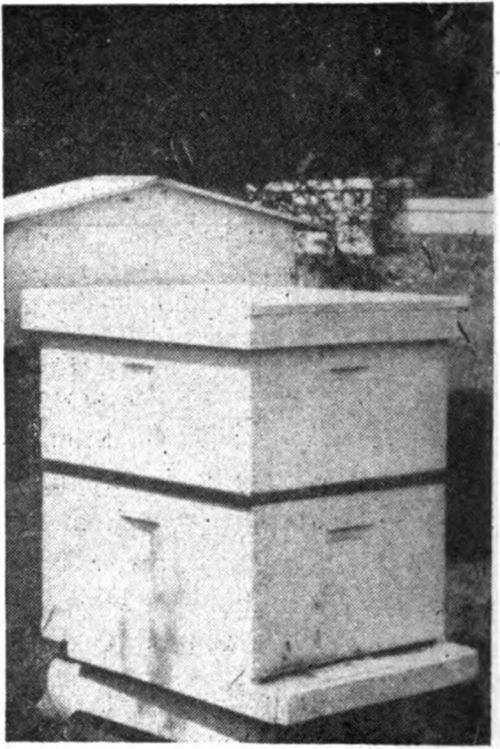 In system No. 3, the supers are also placed above an excluder after the queen is placed in the lower brood chamber.