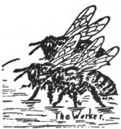 Worker Bees