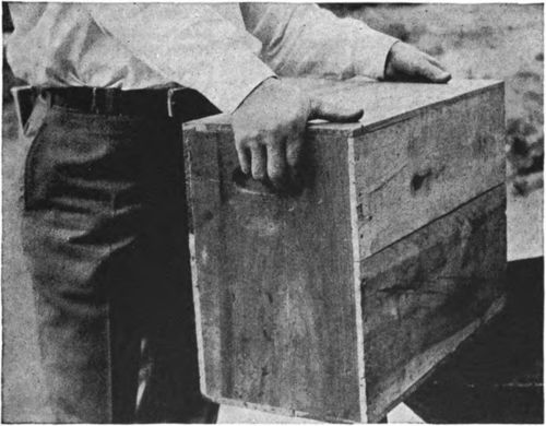 Case holding two sixty pound cans for shipment to distant markets.