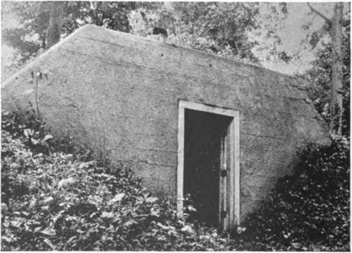 Jager bee cellar in Minnesota.