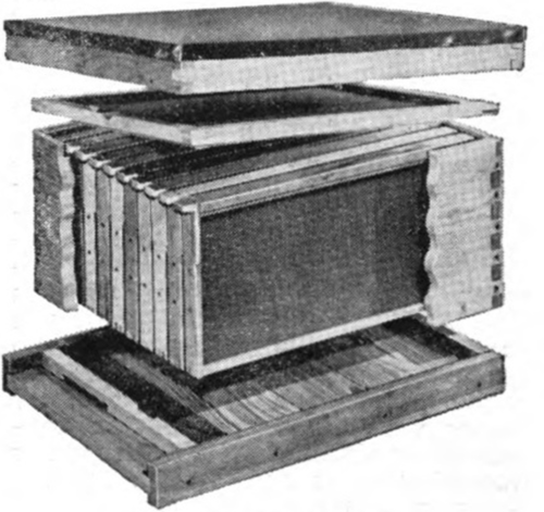 A modern bee hive