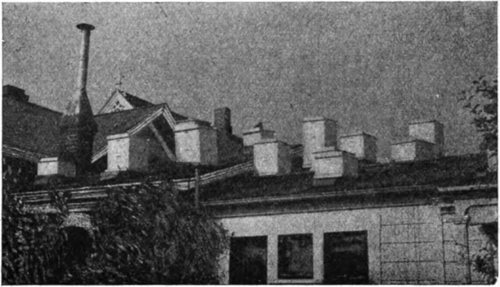 Beehives are sometimes kept on a house roof.