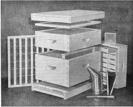 Modern Beehive With Tools For Handling Bees
