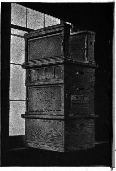The Bigelow Educational Hive