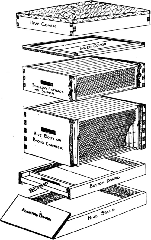 The Parts of a Beehive
