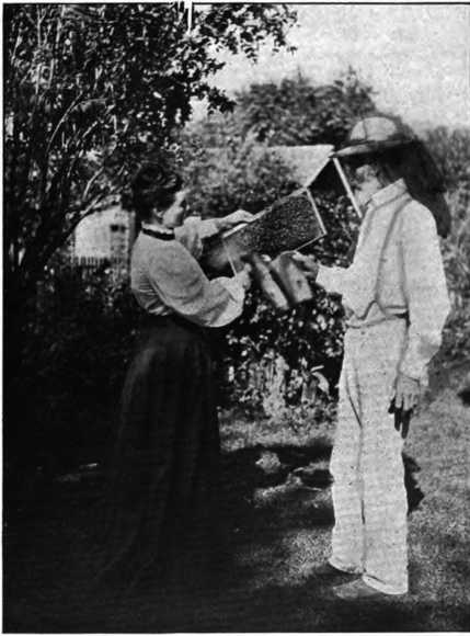 Yes, bee keeping by women can be made to pay and make the home self supporting