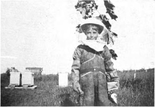 Prepared To Visit The Bees