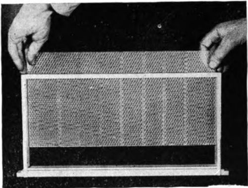 Foundation Board 39