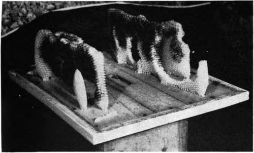 If you remove a frame from your supers and do not replace it promptly you can expect the bees to build comb of their own and this will be largely drone comb. The queen will lay in it promptly.
