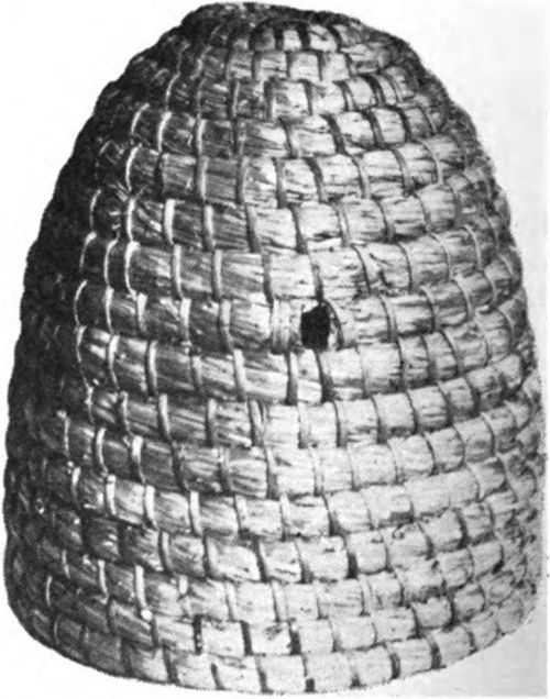 The straw skeps are similar to a log gum in that they have no frames and some are still used in Europe but in this country they are a novelty display item for use at fair exhibits, etc.