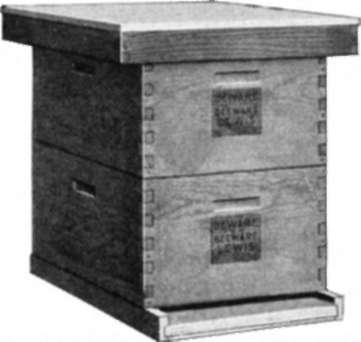 Colonies in standard hives