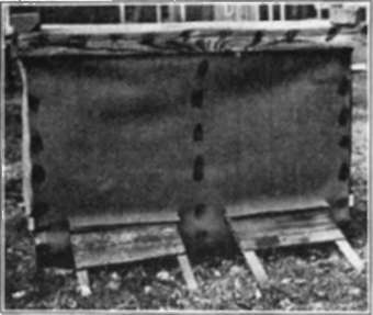 The two colony case