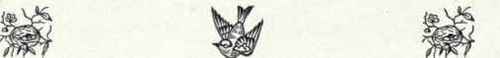 474f Ruddy Horned Lark Otocoris Alpestris Rubea 934