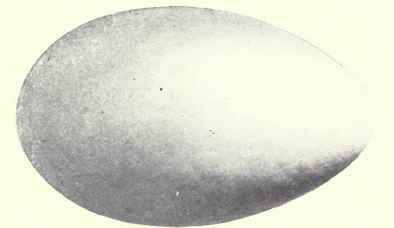 Chalky bluish white, stained buff