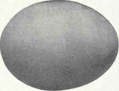 Grayish white