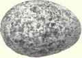 Grayish white