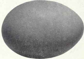 Lead gray