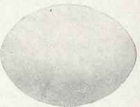 Pale bluish gray