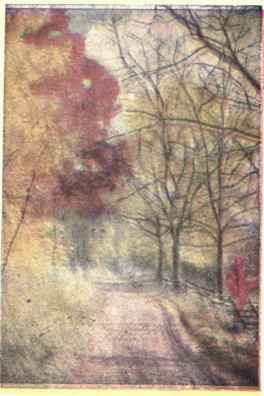 THE TREE GUIDE