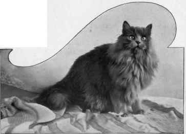 Gentian, Owned By Lady Marcus Bereseord