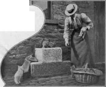 Miss Beal And Her Kittens