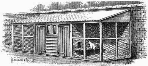 Lean to Cattery