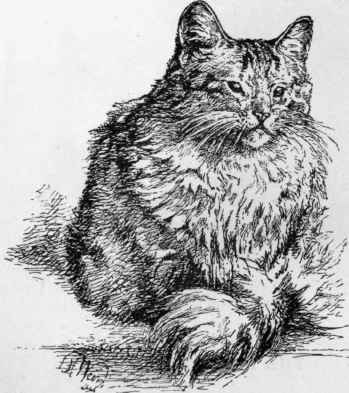 Miss Moore's Dinah.