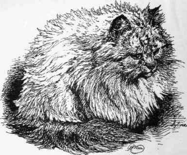 Miss Saunders Sylvie