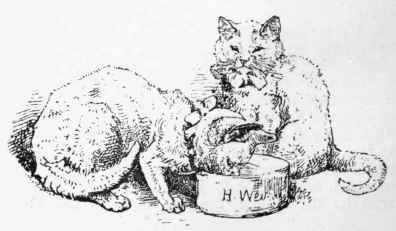 Usefulness Of Cats