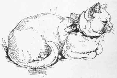 White Cat