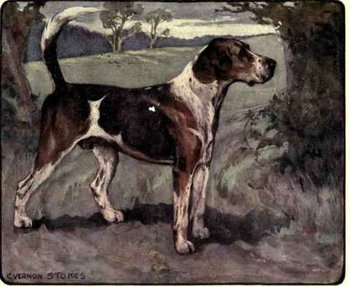 The Foxhound.