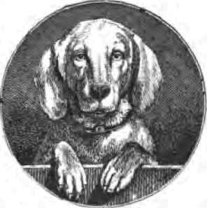 House Dogs 75