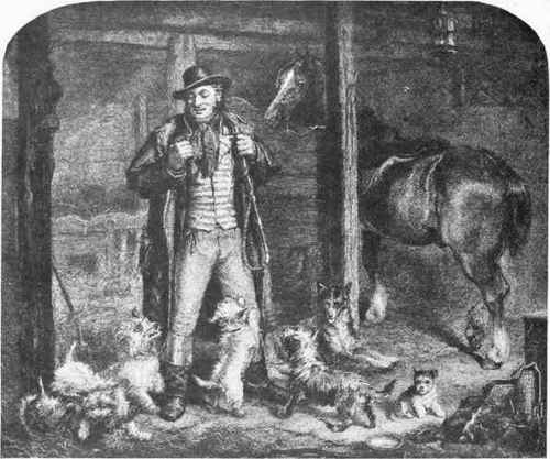 DANDIE DINMONT AND HIS TERRIERS.